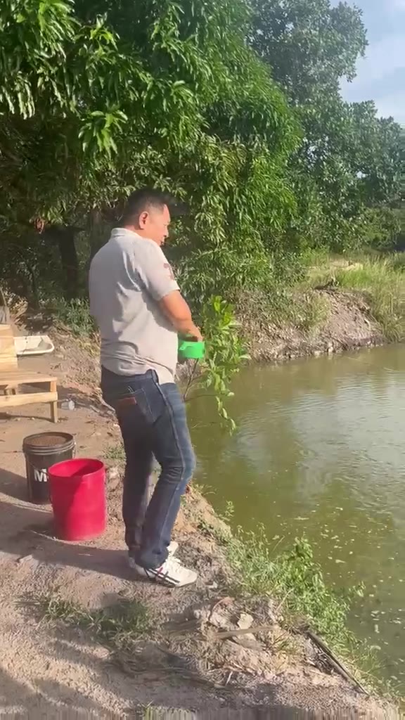 Kolam Ikan Nila